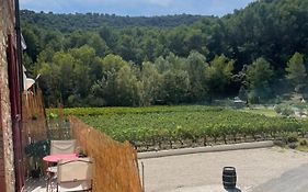 Appartement Au Calme Au Milieu Du Vignoble De Gigondas