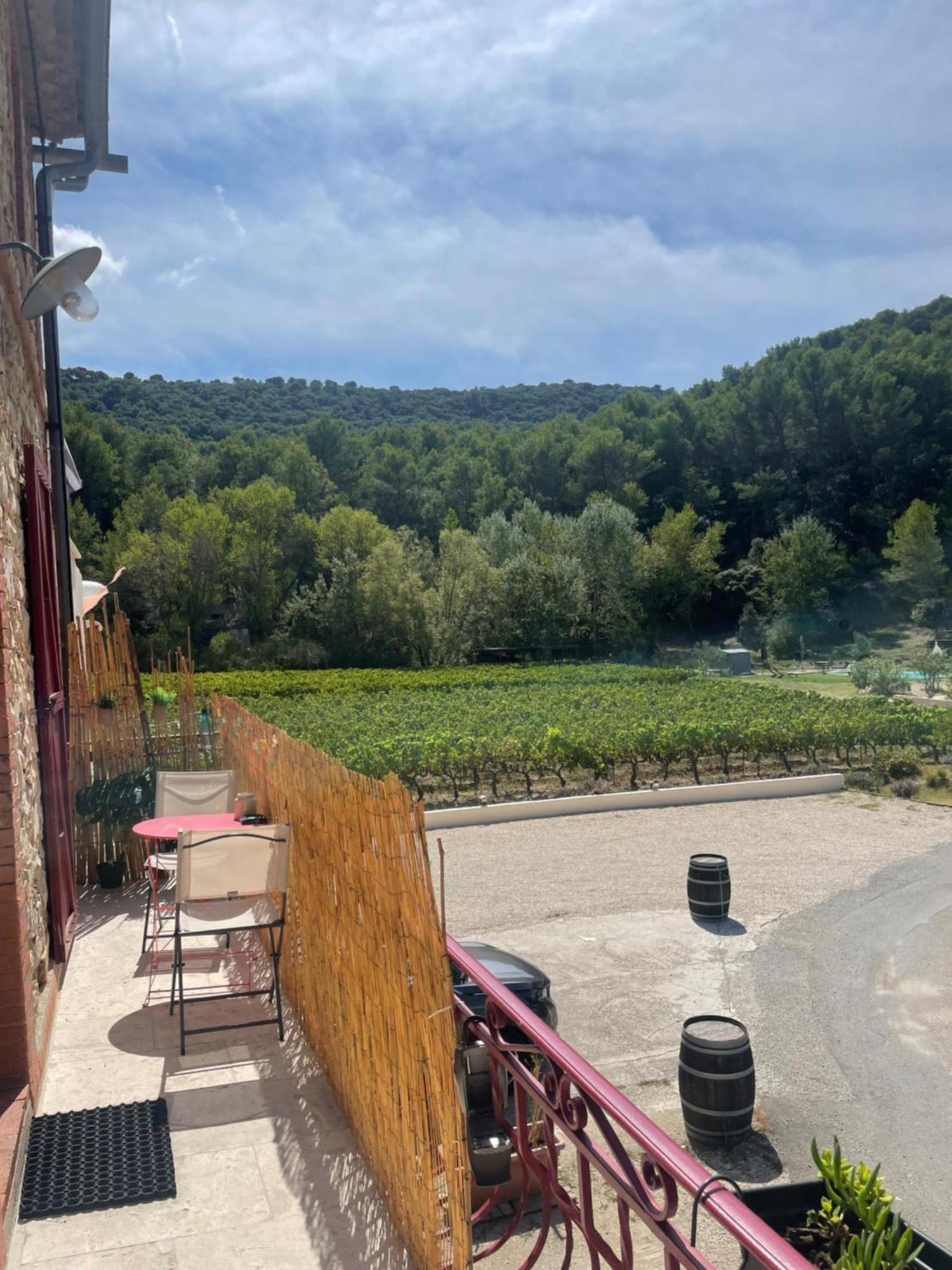 Appartement Au Calme Au Milieu Du Vignoble De Gigondas Extérieur photo